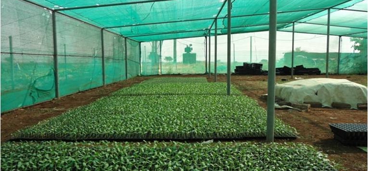 Shivtej Rest House, Satara