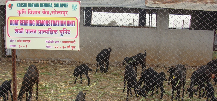 Shivtej Rest House, Satara
